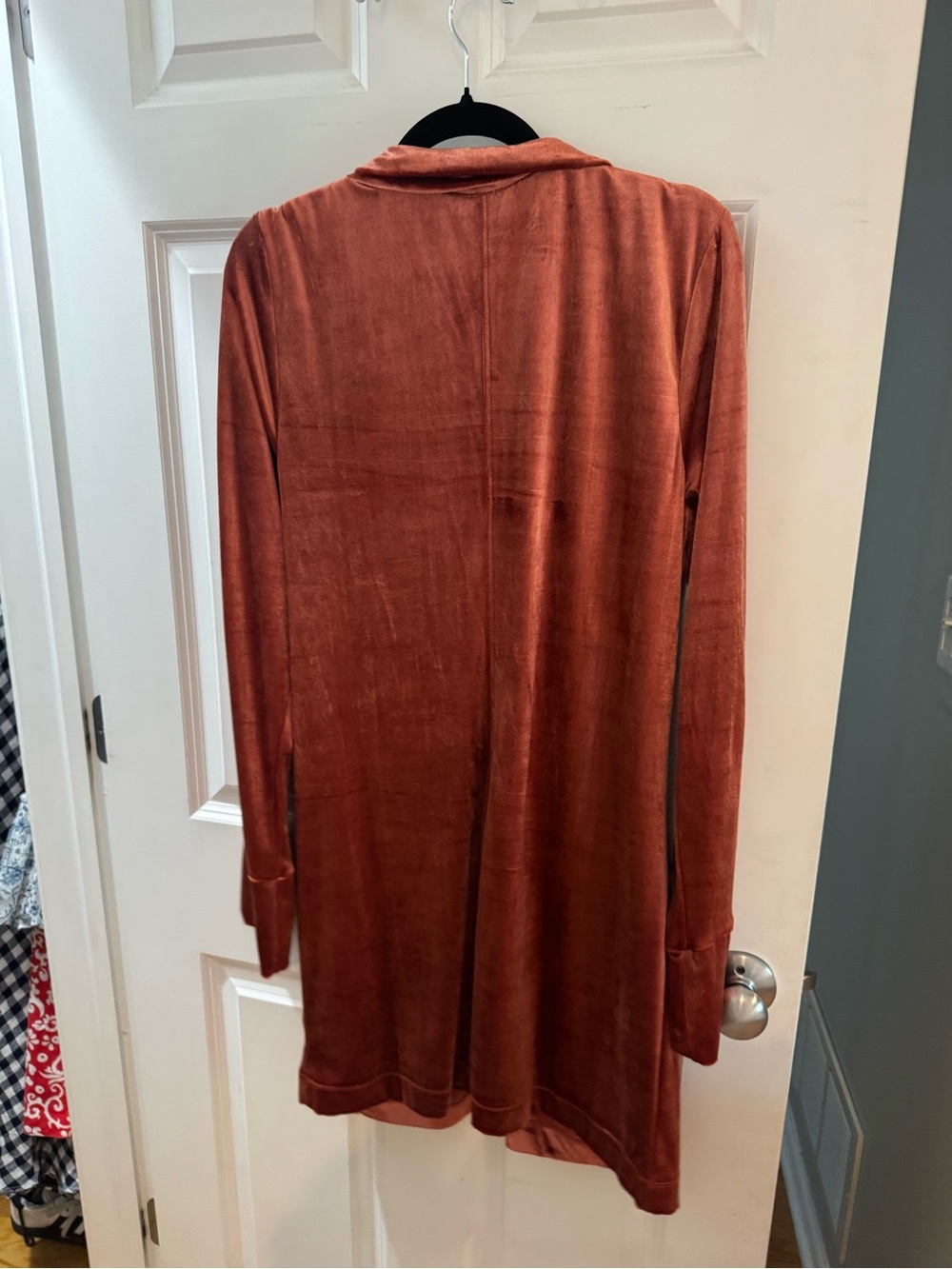 Free People Rust Velvet Ruched Button-Front Mini Dress - Picture 5 of 5